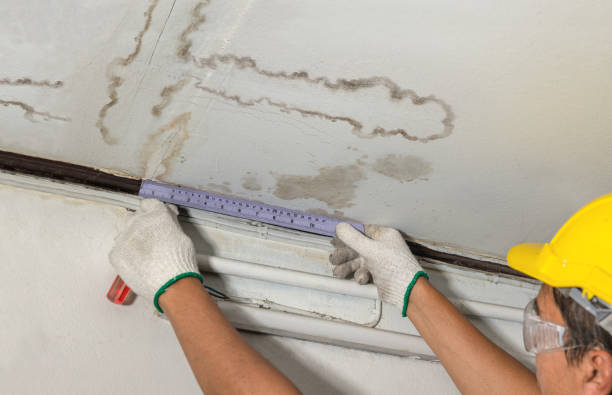Reliable Basement Flood Cleanup contractor in Vassar, MI by Aqua Guard Water Damage